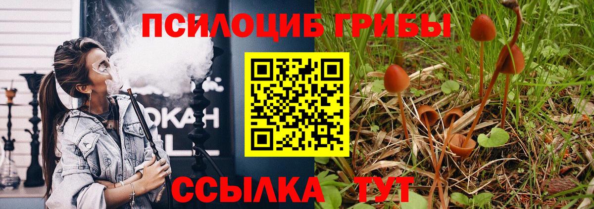 Верхняя Салда  Галлюциногенные грибы ЛСД  что такое наркотик  Вход с VPN 